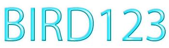 BIRD123